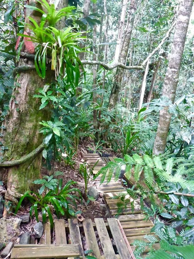 Kuranda Ngorongoro Lodge Ausztrália